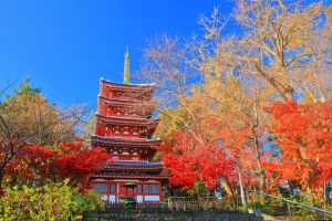 松戸市　平賀　本土寺