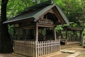 千葉県　松戸市　歴史